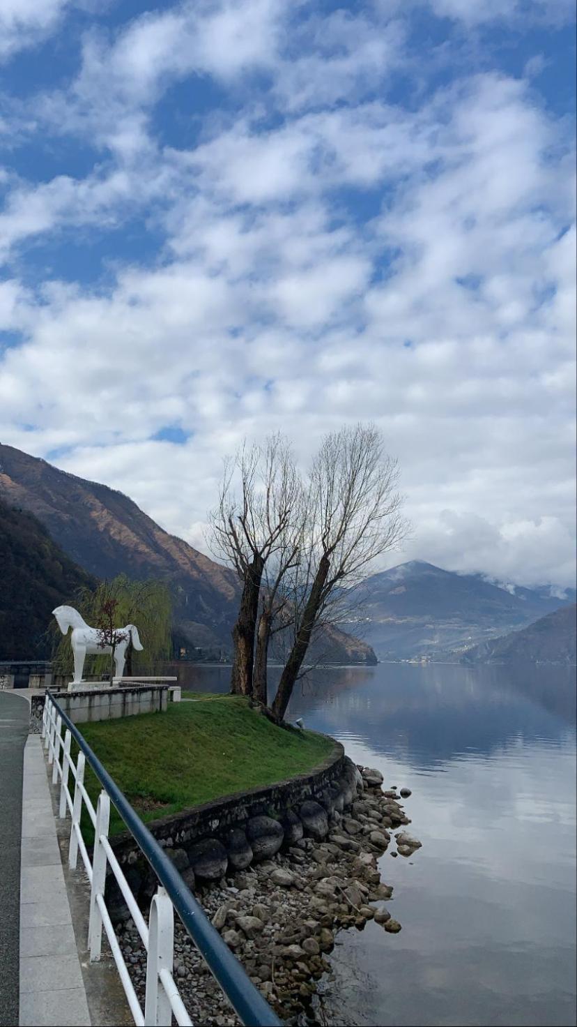 Villa Casa Berlai, Bilocale Sul Lago à Pisogne Extérieur photo
